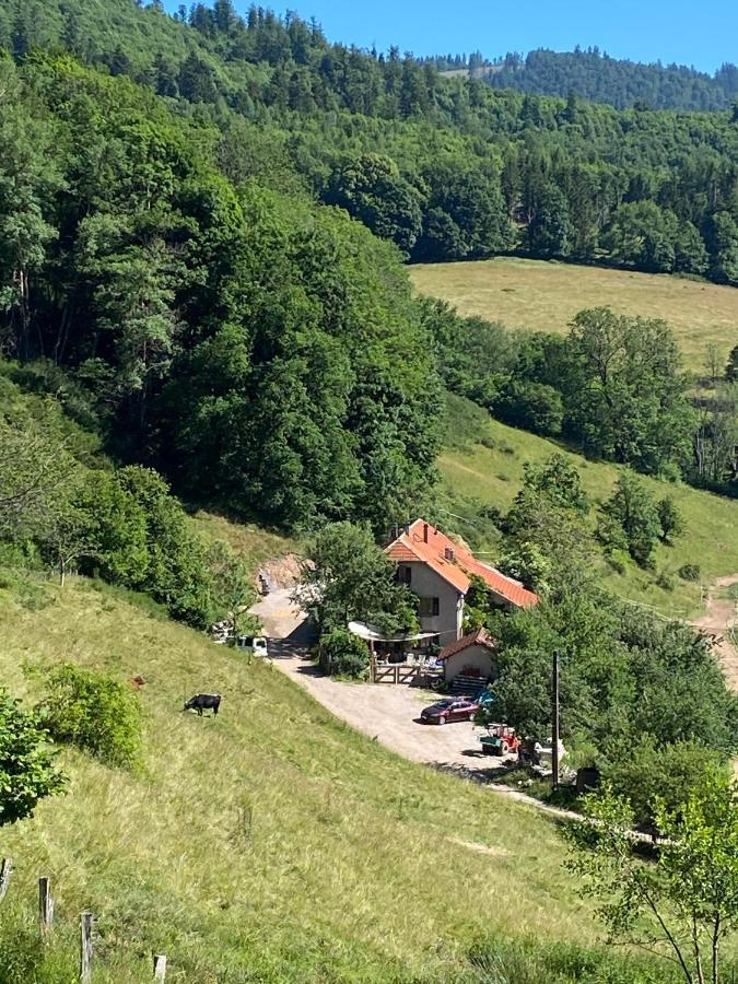 Holiday home Ferme De La Prairie D Hergauchamps Mit Sauna Und Whirlpool Sainte-Marie-aux-Mines