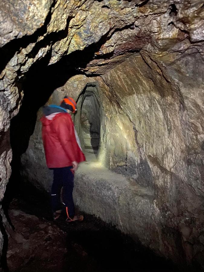 Ferme De La Prairie D Hergauchamps Mit Sauna Und Whirlpool Sainte-Marie-aux-Mines