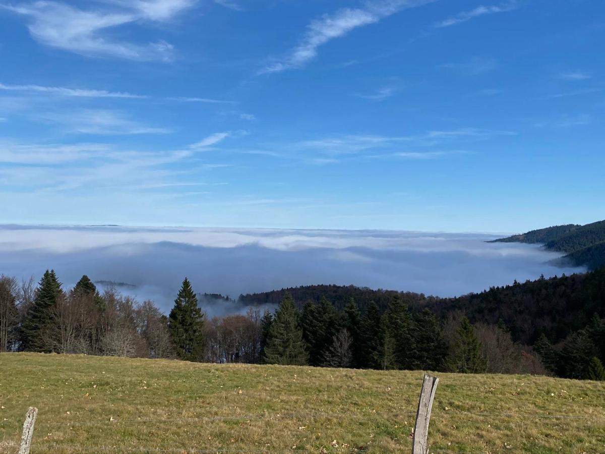 Hébergement de vacances Ferme De La Prairie D Hergauchamps Mit Sauna Und Whirlpool *